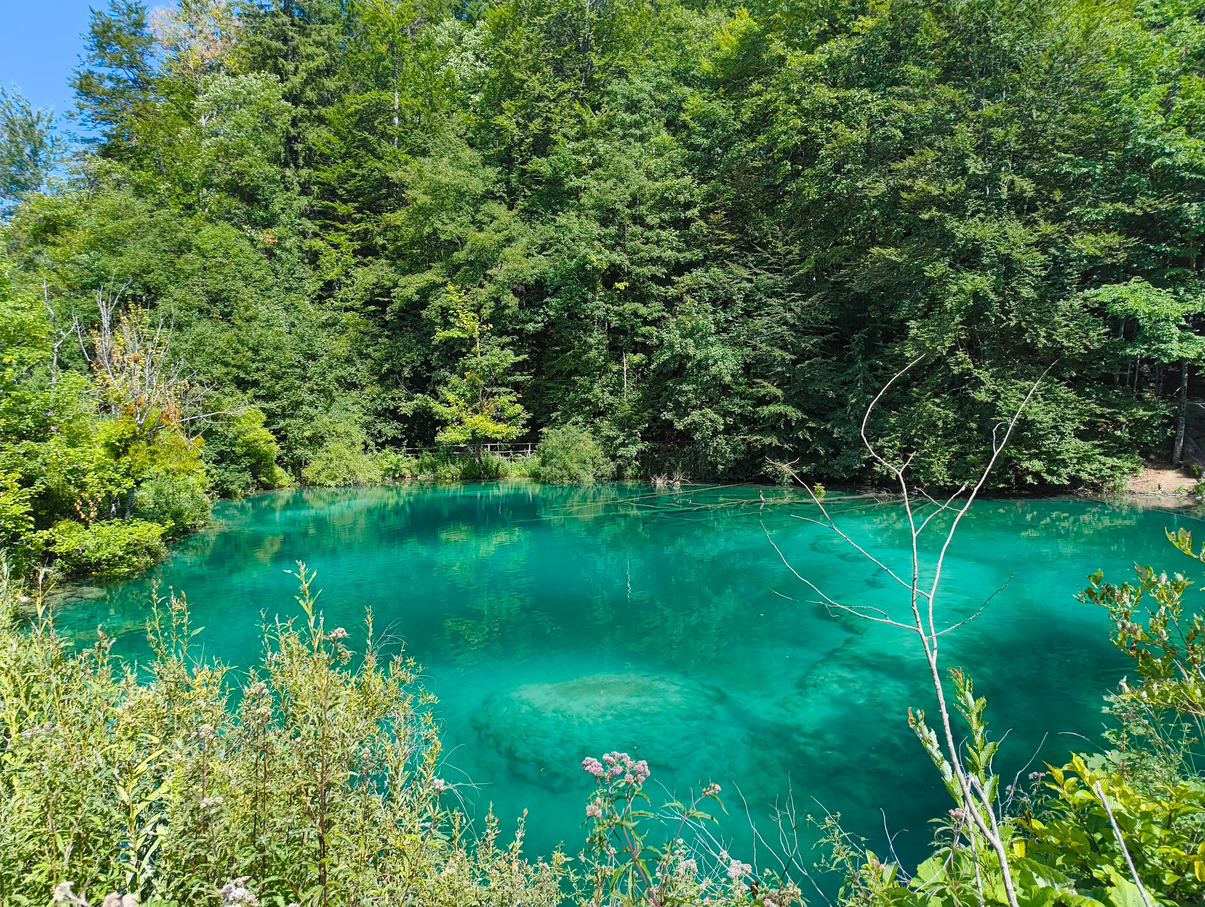 Green pool