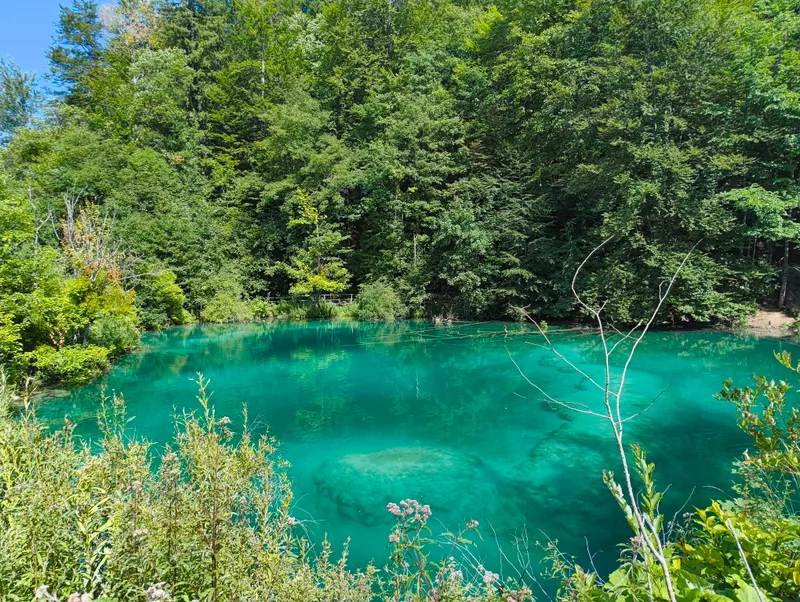Green pool