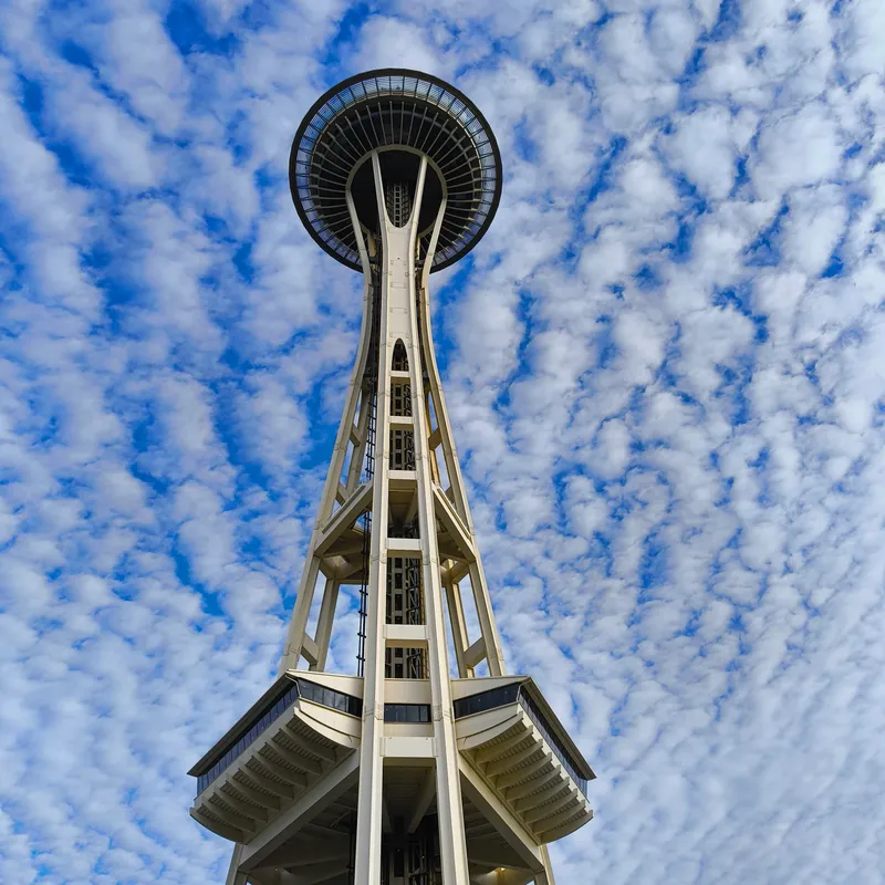 Seattle Vibes