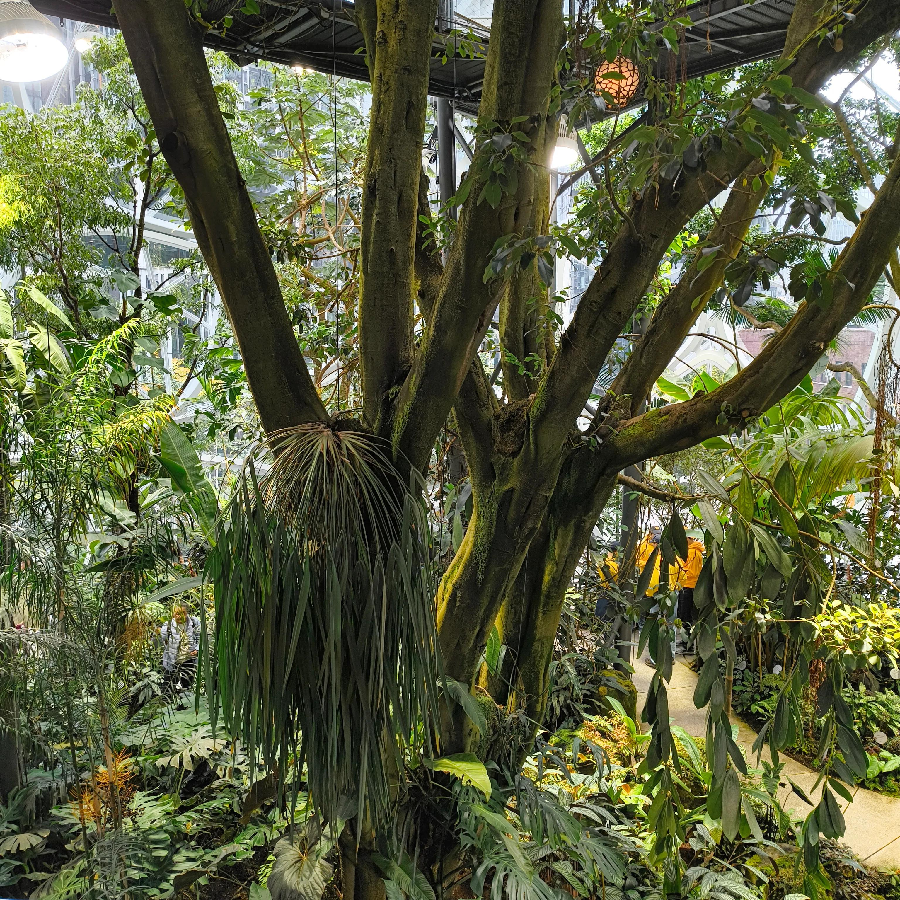 Spheres interior